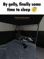 sleep.gif