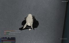 rp_site65_civilnetworks_10b0006.jpg
