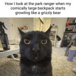 IMG_7740.jpeg