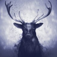 BlackDeer