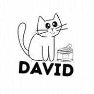 SwedishDavid