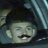 AnthonySanchez